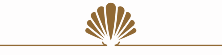 Schelp_Goud_kop Schelp_Goud_kop